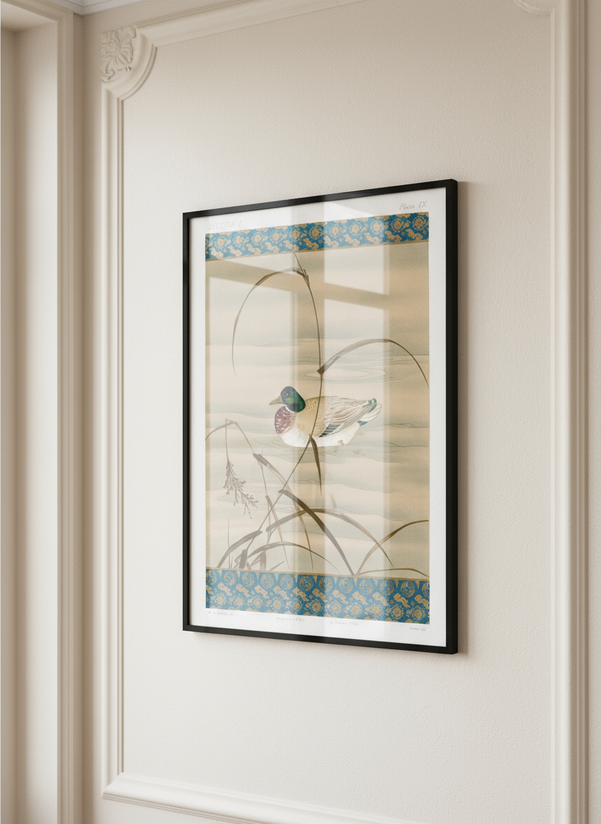 Duck Swimming in the Lake