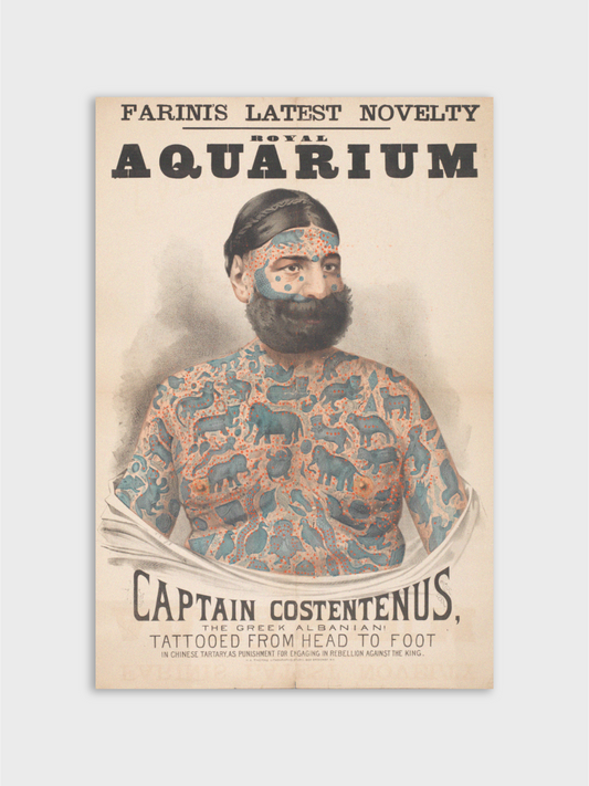 Captain Costentenus