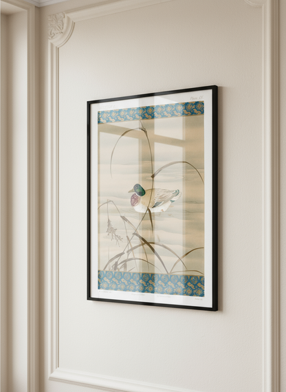 Duck Swimming in the Lake