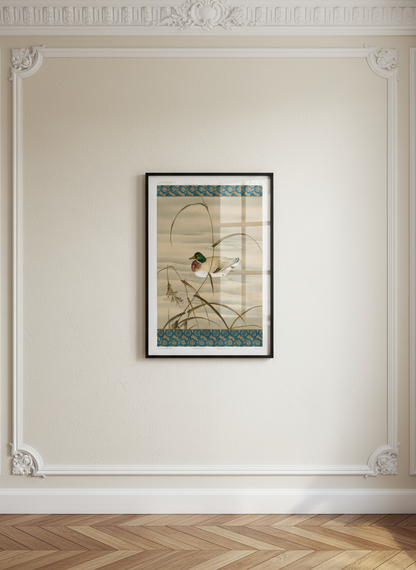 Duck Swimming in the Lake