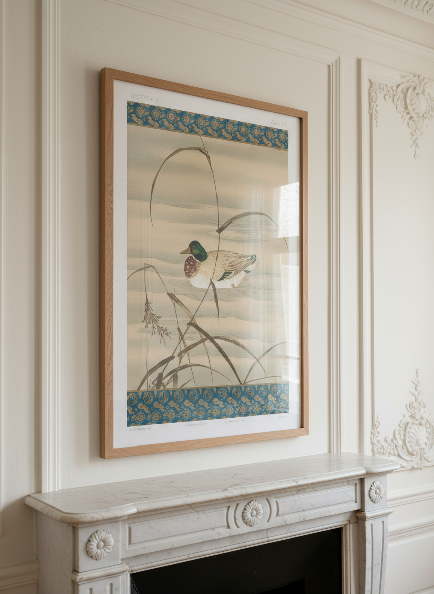 Duck Swimming in the Lake