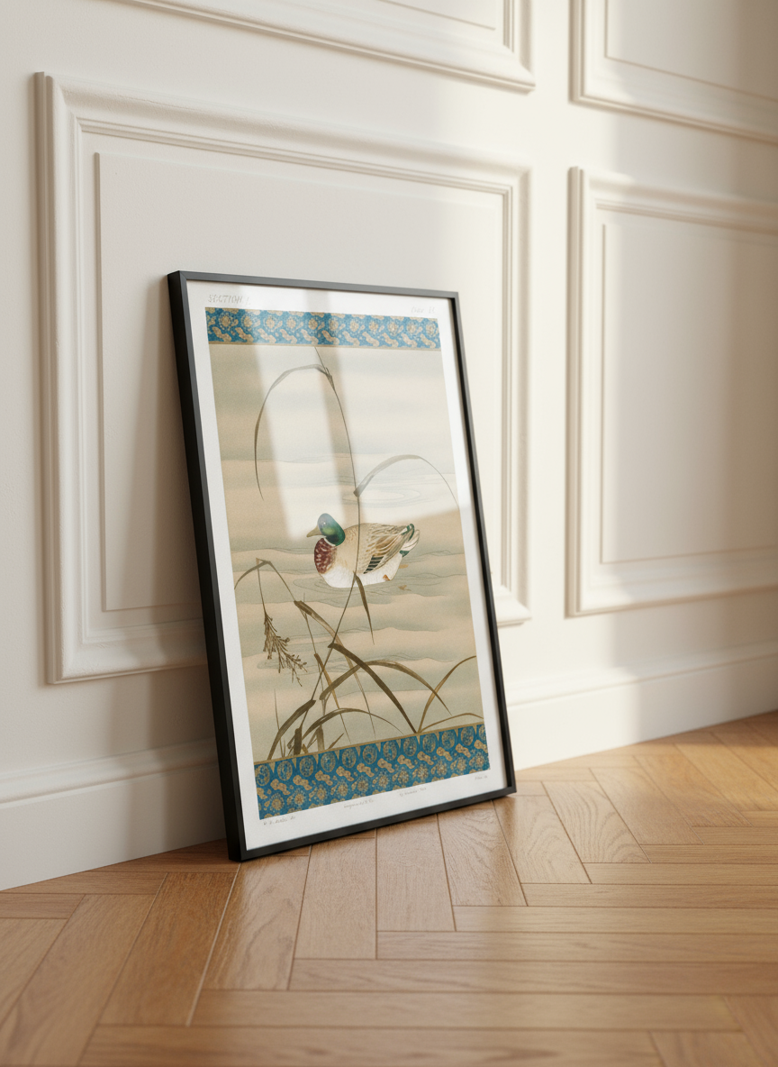 Duck Swimming in the Lake