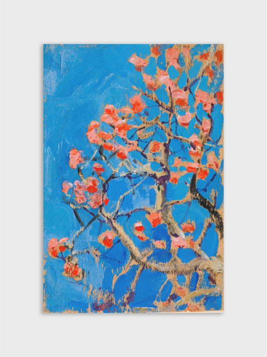 Blooming Coral Tree in Blossom