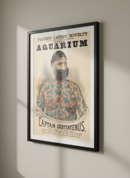 Captain Costentenus